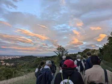 Programma settimanale dal 28/10/24 al 31/10/24