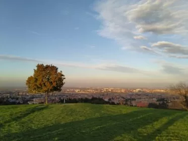 Programma settimanale dal 25/11/24 al 29/11/24