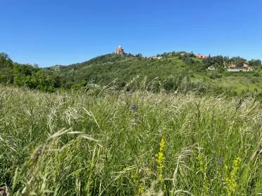 Programma settimanale dal 05/05/25 al 09/05/25