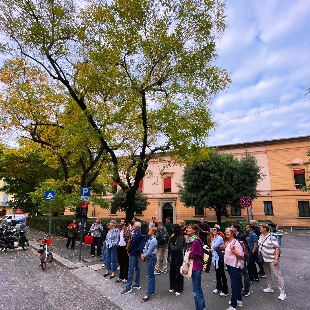 Programma settimanale dal 27/10/25 al 31/10/25