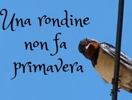 I proverbi italiani