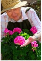 signora con cappello cura i fiori