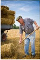 signore anziano lavora nei campi