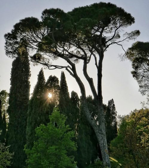 bolognese hills